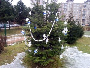 img_20161219_111952