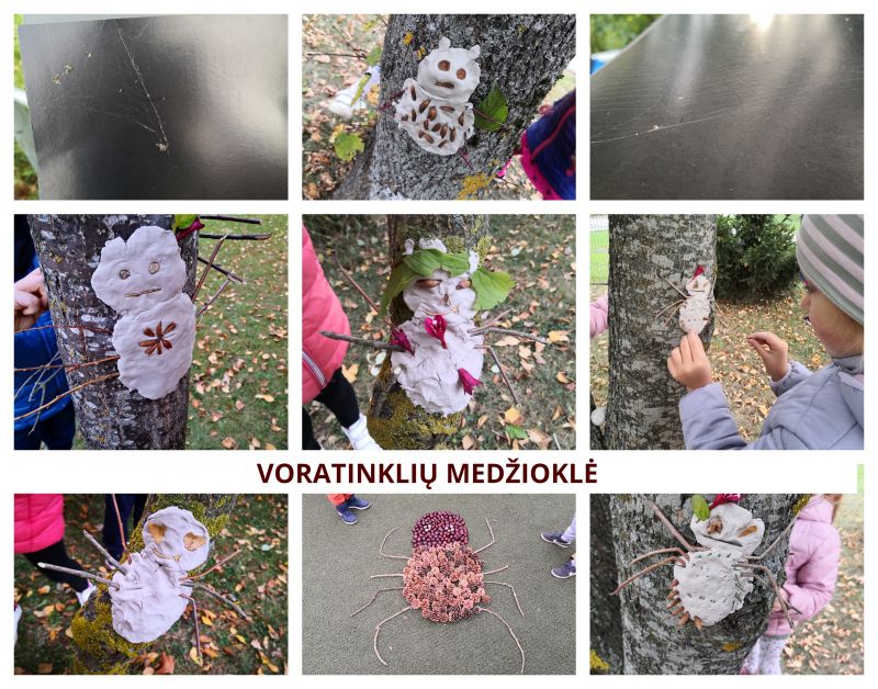 voratinkliu-medziokle